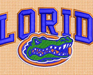 Best Florida 3d puff Embroidery logo.
