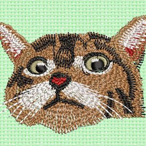 Best Cat Face Embroidery logo.