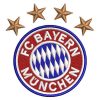 Best FC Bayern Munich Embroidery logo.